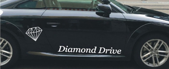 Turgay&nbsp;Elmas - Diamond Drive